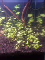 20200617_203517.jpg