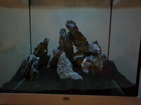 20200625_022129.jpg