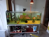 DSC03164.JPG