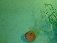 DSC03185.JPG