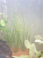 20200711_164541.jpg