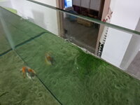 DSC03237.JPG