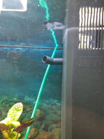 20200722_081329.jpg