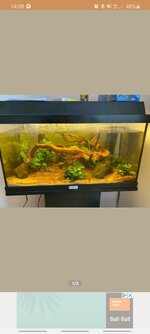 Screenshot_20200722-140852_Marktplaats.jpg Screenshot_20200722-140852_Marktplaats.jpg