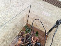 20200722_142621.jpg 20200722_142621.jpg