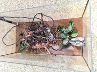 20200722_142627.jpg 20200722_142627.jpg