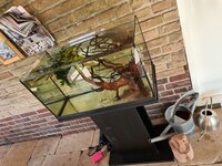 20200722_151351.jpg 20200722_151351.jpg