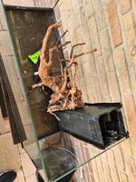 20200723_142839.jpg 20200723_142839.jpg