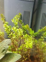 20200727_205515.jpg