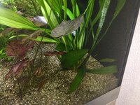 IMG_2778.jpeg