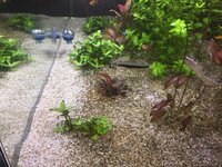 IMG_2779.jpeg