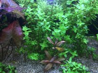 IMG_2780.jpeg