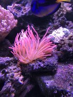 24BA4856-8CDC-40B0-A22E-F7E7E35DED7C.jpeg