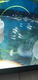 20200813_100243.jpg