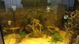 IMG_20200812_125201.jpg IMG_20200812_125201.jpg