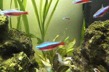 IMG_20200816_2011350.jpg