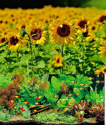 2020-08-18_09-05-53.png