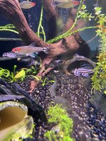 544E3077-F9B2-47ED-A84E-1DF8E8009C96.jpeg