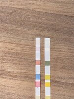 22108754-F711-4EF3-B8B6-CA522DAB773D.jpeg