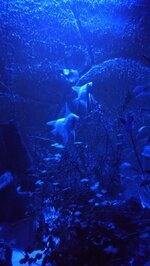 IMG_20200830_220056.jpg IMG_20200830_220056.jpg