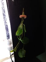 20200901_184606.jpg