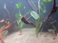 20200901_184720.jpg