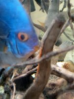 IMAG0048.jpg