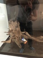 WhatsApp Image 2020-09-05 at 19.18.59.jpeg