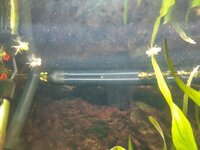 20200907_094116.jpg