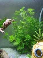 20200908_170027.jpg