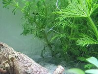 20200908_165739.jpg