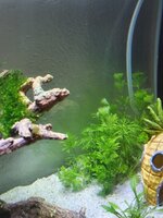 20200908_212439.jpg
