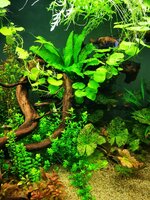 IMG_20200912_170410.jpg
