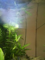 WhatsApp Image 2020-09-13 at 17.59.57 (2).jpeg