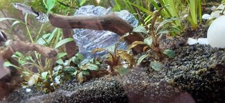 20200914_182317.jpg