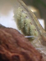 IMG_20200927_193420682.jpg