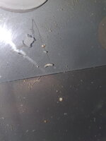 20200928_163932.jpg