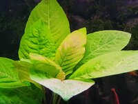 20200929_160244.jpg