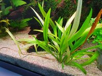 20200929_160239.jpg