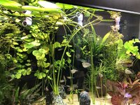 IMG_1962.JPEG