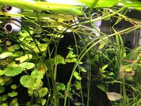 IMG_1963.JPEG