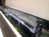 IMG_1965.JPEG