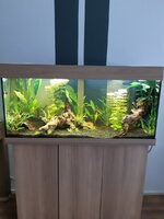 20201001_130720.jpg