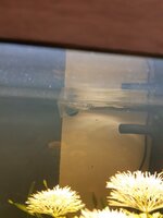 20201001_130729.jpg