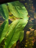 20201001_130754.jpg