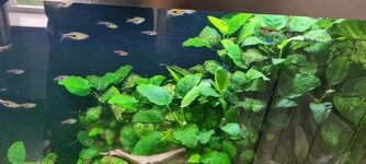 20201002_155116.jpg