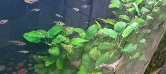 20201002_155124.jpg