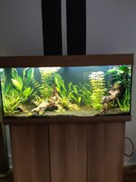 20201003_181041.jpg
