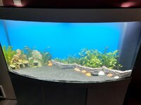 20201005_103601.jpg