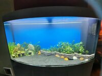 20201005_103626.jpg